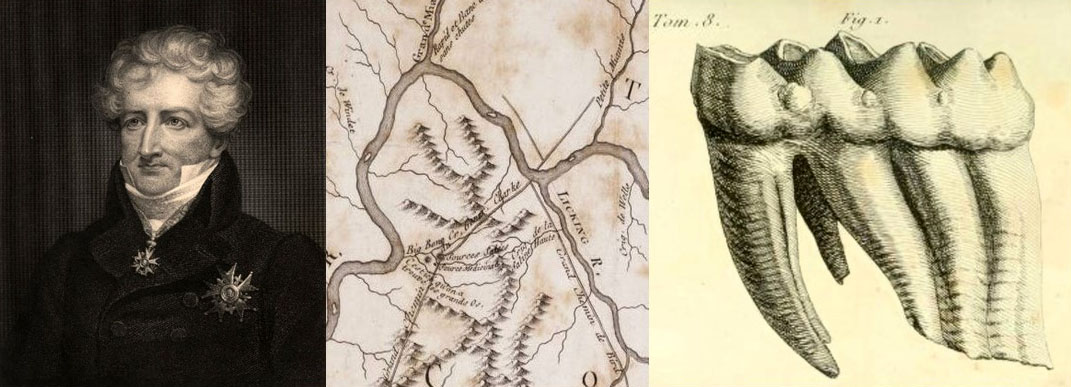 Georges Cuvier studied fossilized bones from Big Bone Lick and other parts of the world, using the bones to define and interpret mastodons as a type of extinct elephant. Georges Cuvier by James Thompson, c. 1800 engraving, Smithsonian libraries image. Part of Filson’s (1785) map of the Ohio River, showing Big Bone Lick, from Lafon Allen Maps Collection, University of Louisville, Louisville, Ky. Drawing of a mastodon molar from Big Bone Lick in Cuvier’s 1806 manuscript on mastodons. 